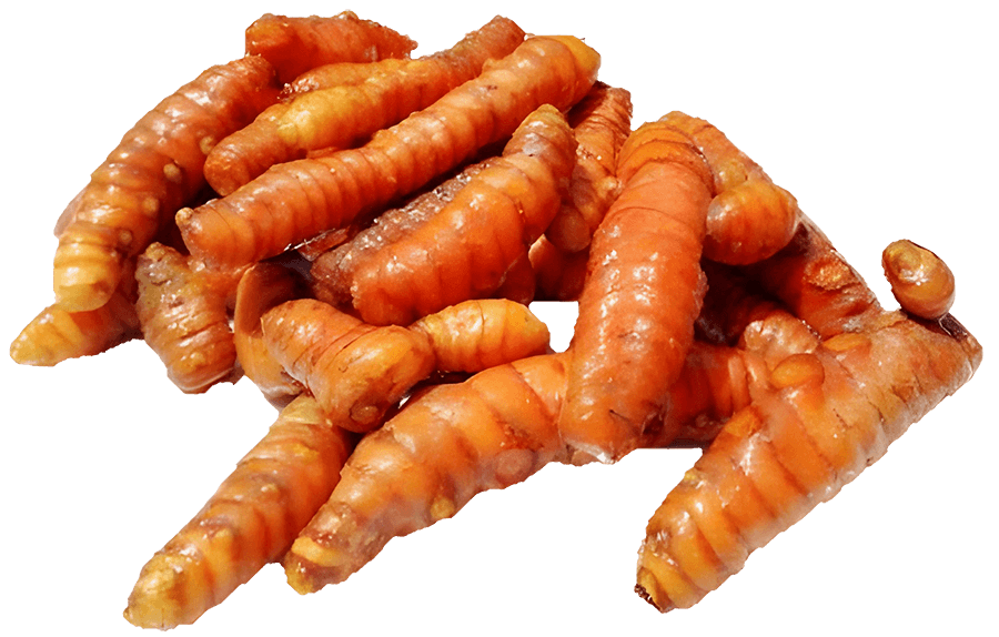 GK Curcuma 2 out