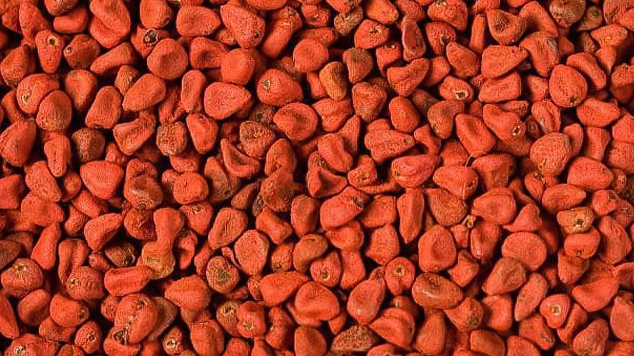 GK Achiote seco 09
