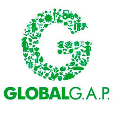 GLOBAL GAP