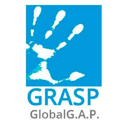 GRASP